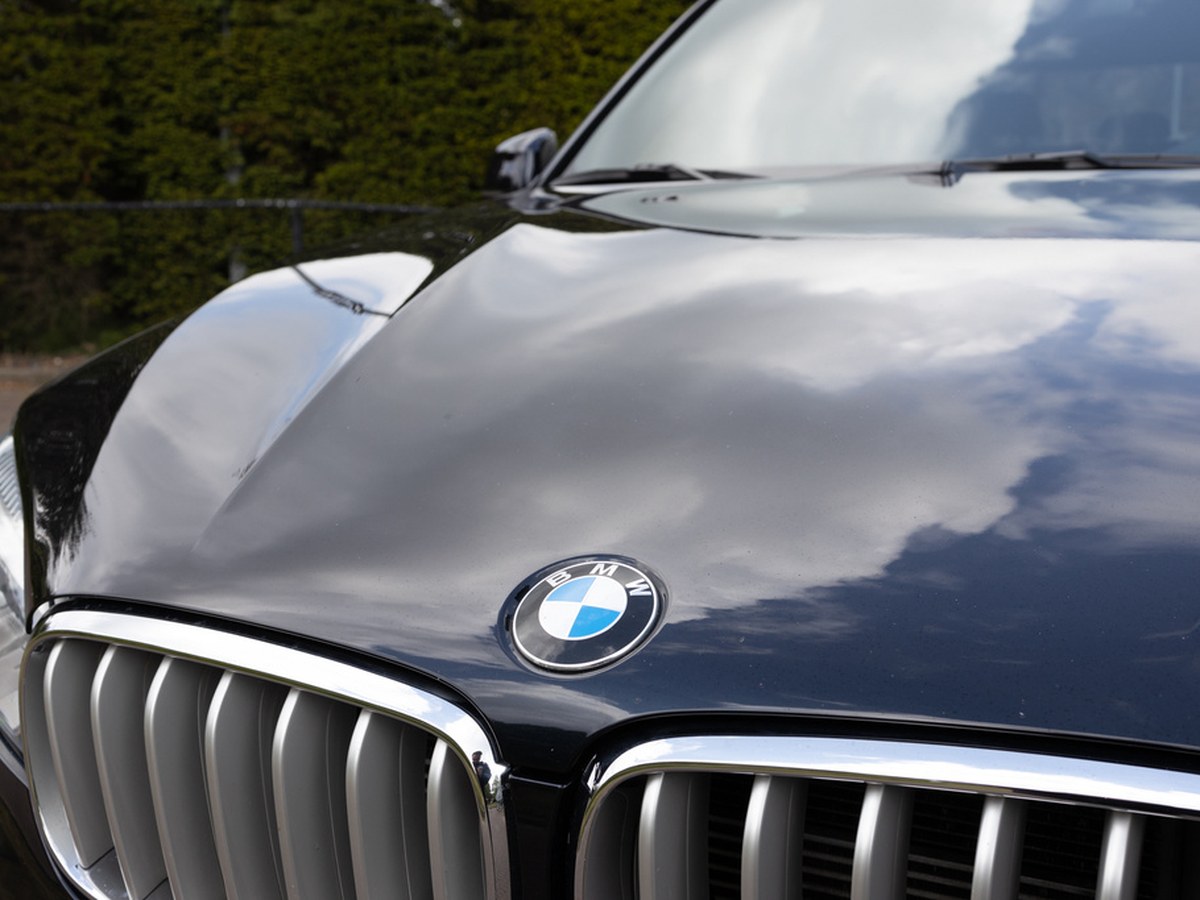 BMW grille detail